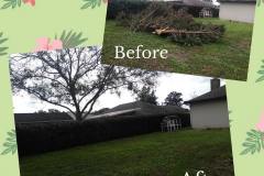 Q & Q Yard Debris Clean Up Ocala FL